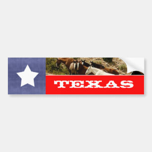 Adesivo Para Carro Bandeira do Texas e cavalos