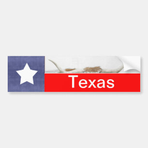 Adesivo Para Carro Bandeira do Texas e chifres em branco