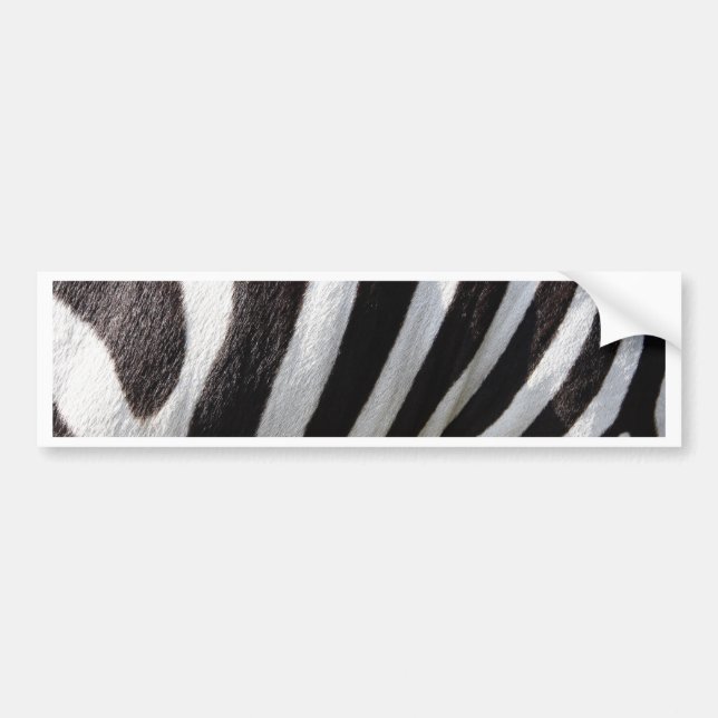 Adesivo Para Carro Banheiras de Cabelo de Zebra Negra e Branca (Frente)