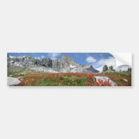Banner Pico de Flores Selvagens - Ansel Adams Wild