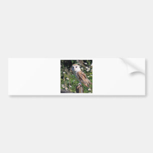Adesivo Para Carro Barn Owl