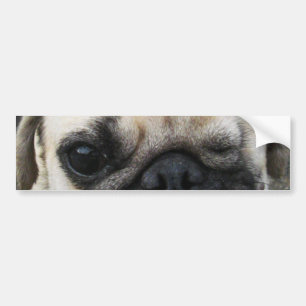 Adesivo Para Carro Bauwk... Cachorro か わ い 子 犬