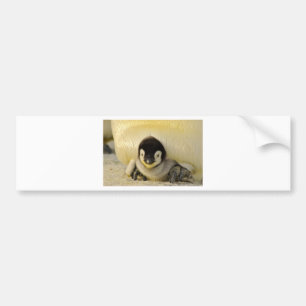 Adesivo Para Carro Bebê pinguim