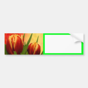 Adesivo Para Carro Becky's Tulips jGibney Signature Greenville SC The
