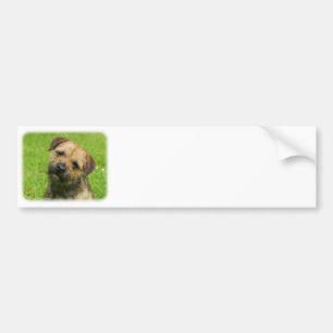 Adesivo Para Carro Beira Terrier 9W009D-127