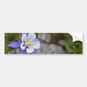 Adesivo Para Carro Beleza Azul