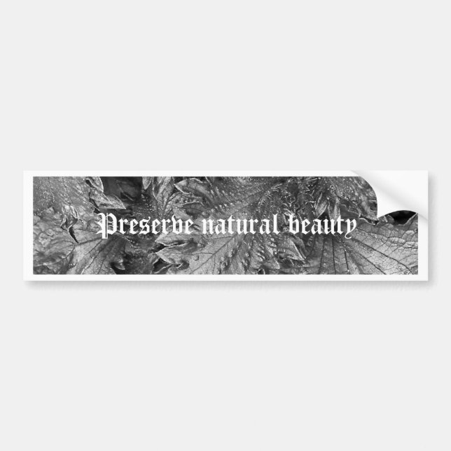 Adesivo Para Carro Beleza de prata (Frente)