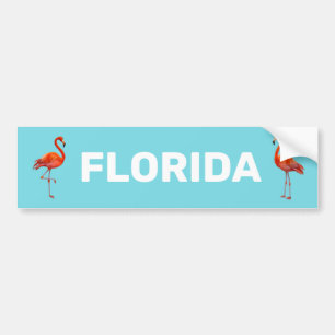 Adesivo Para Carro Belos Flamingos da Flórida em Azul Claro