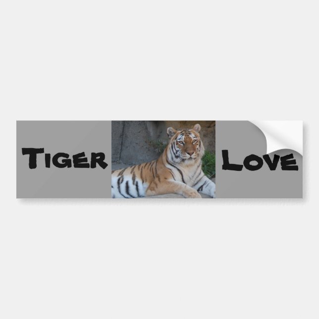 Adesivo Para Carro Bengal Tigers (Frente)