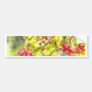 Adesivo Para Carro Berries Watercolor