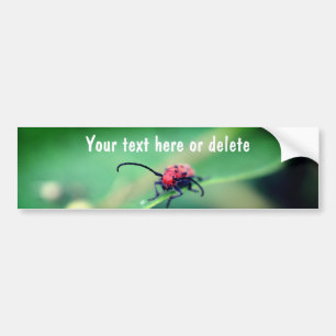 Adesivo Para Carro Besouro Vermelho Assustador Personalizado da Natur