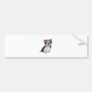 Adesivo Para Carro Biewer Yorkshire Terrier