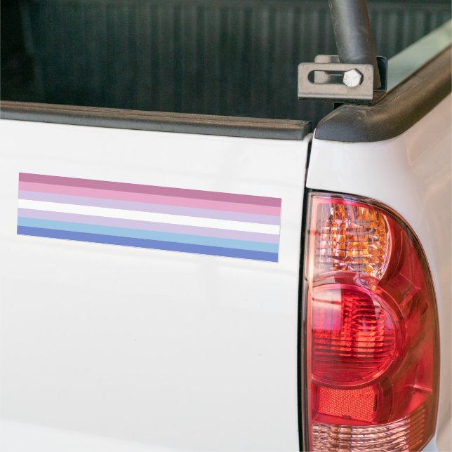 Adesivo Para Carro Bigender Pride (No caminhão)