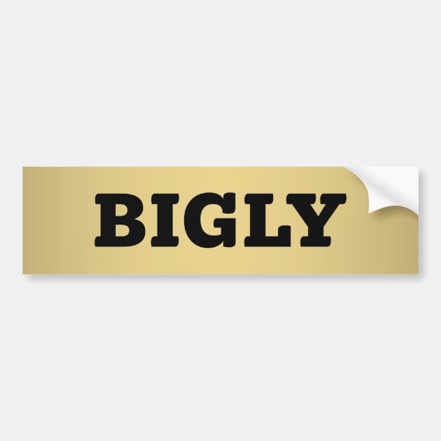 ADESIVO PARA CARRO BIGLE BUMPER STICKER (Frente)