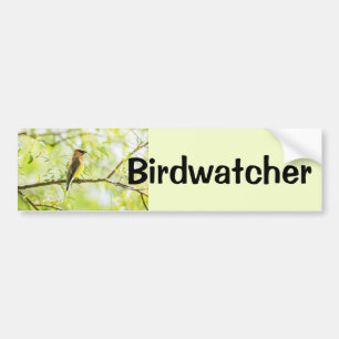 Adesivo Para Carro Birdwatcher