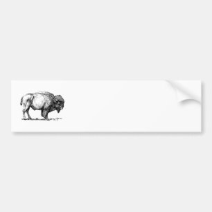 Adesivo Para Carro Bisonte