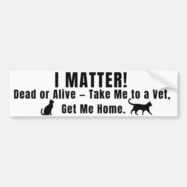Adesivo Para Carro Black Font "I Matter" Bumper Sticker (Frente)