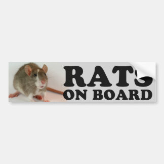 Adesivo Para Carro (Blazed) Rats on board