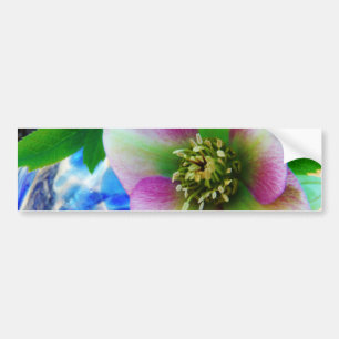Adesivo Para Carro Bola de vidro azul Rosa de Lenten rosa