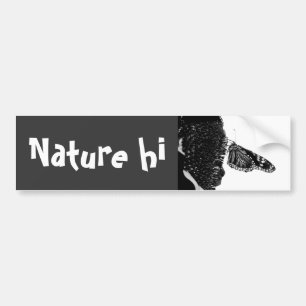 Adesivo Para Carro borboleta tímida blacq