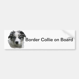 Adesivo Para Carro Border collie