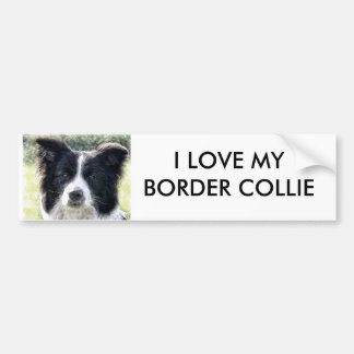 Adesivo Para Carro Border collie