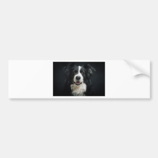 Adesivo Para Carro border collie