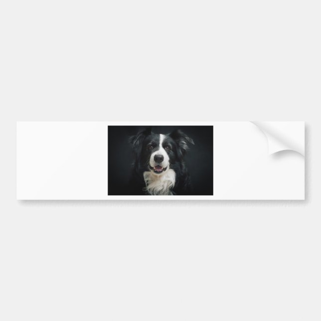 Adesivo Para Carro border collie (Frente)