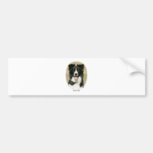 Adesivo Para Carro Border collie 9Y411D-009