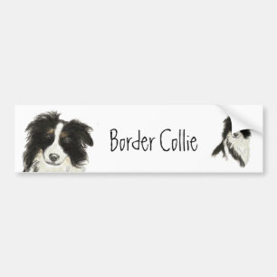 Adesivo Para Carro Border Collie Dog o