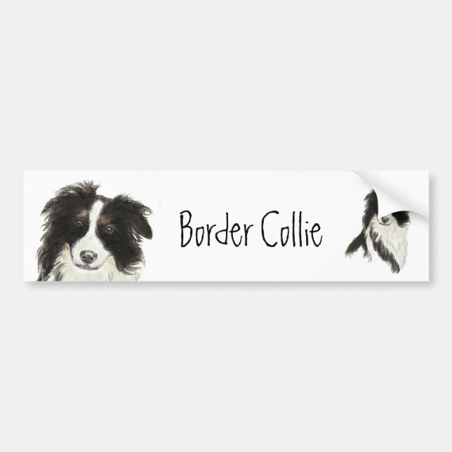 Adesivo Para Carro Border Collie Dog o (Frente)