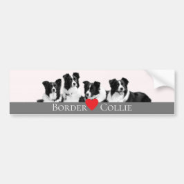 Adesivo Para Carro Border Collie Love