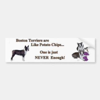 Adesivo Para Carro boston_bumpersticker1a