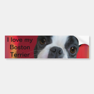 Adesivo Para Carro Boston Terrier Bumper Sticker