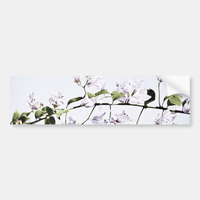Adesivo Para Carro Bougainvillea (Frente)