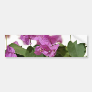 Adesivo Para Carro Bougainvillea