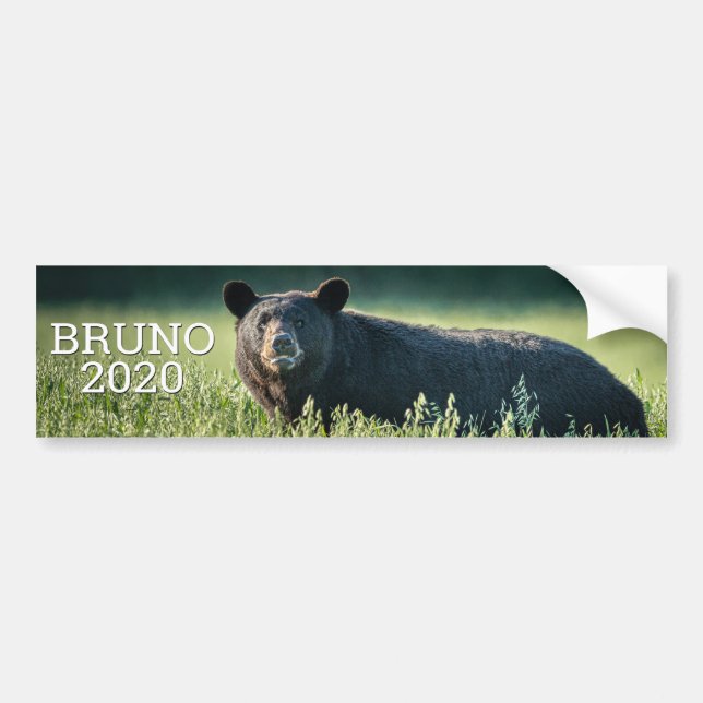 Adesivo Para Carro Bruno 2020 Bumper Sticker (Frente)