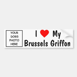 Adesivo Para Carro Bruxelas Griffon