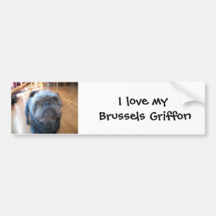 Adesivo Para Carro Bruxelas Griffon