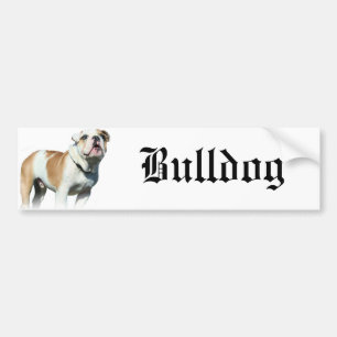 Adesivo Para Carro buldogue