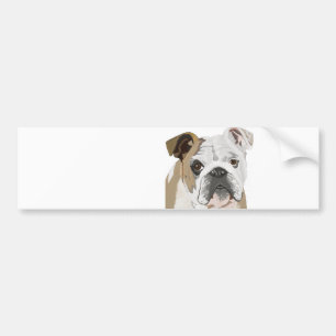 Adesivo Para Carro Buldogue Inglês