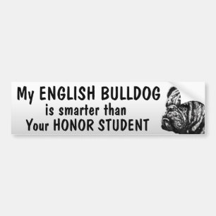 Adesivo Para Carro Buldogue inglês - mais esperto do que o estudante