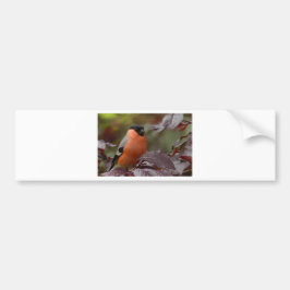 Adesivo Para Carro Bull Finch