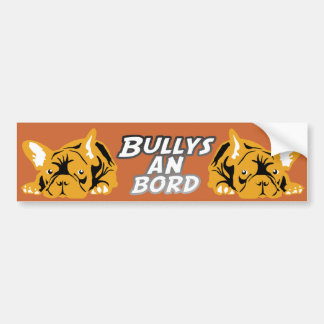 Adesivo Para Carro Bullys em laranja conselho