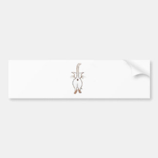 ADESIVO PARA CARRO BUMBUM QUE?