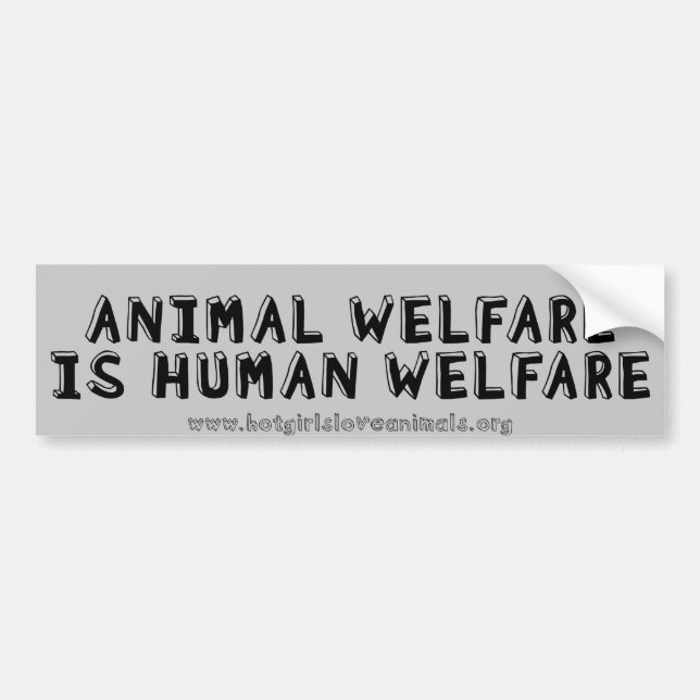 Adesivo Para Carro Bumper - Animal welfare is human welfare (Frente)