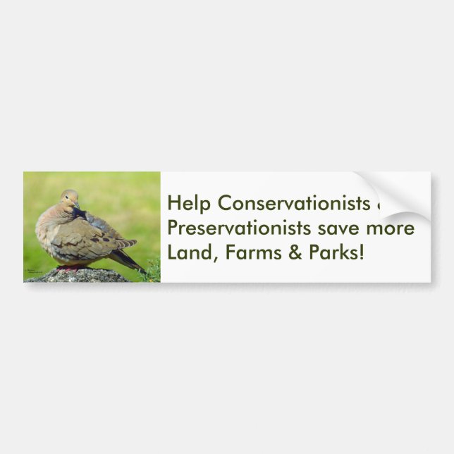 Adesivo Para Carro Bumper Sticker (Frente)