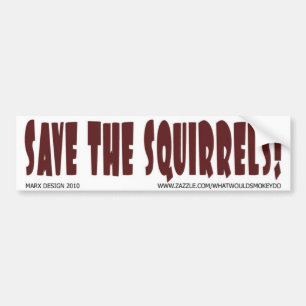 Adesivo Para Carro bumper_sticker24
