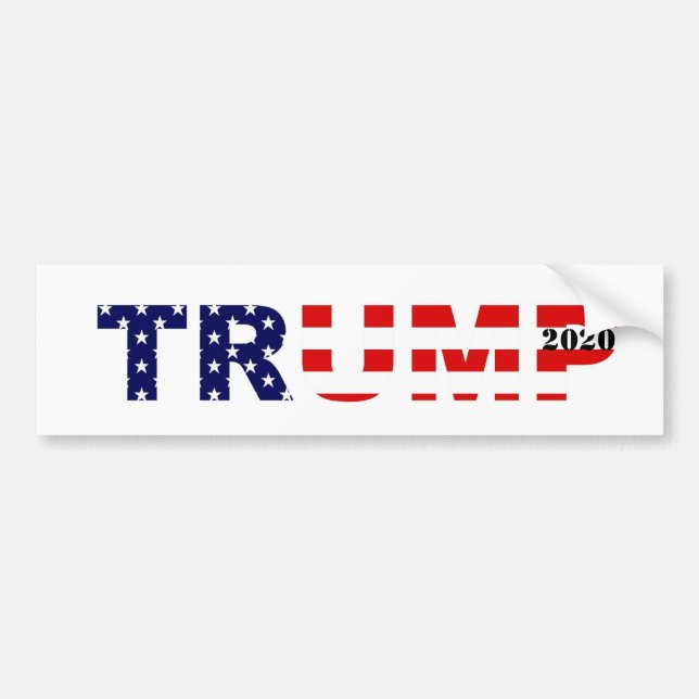 Adesivo Para Carro Bumper Sticker 2020 (Frente)
