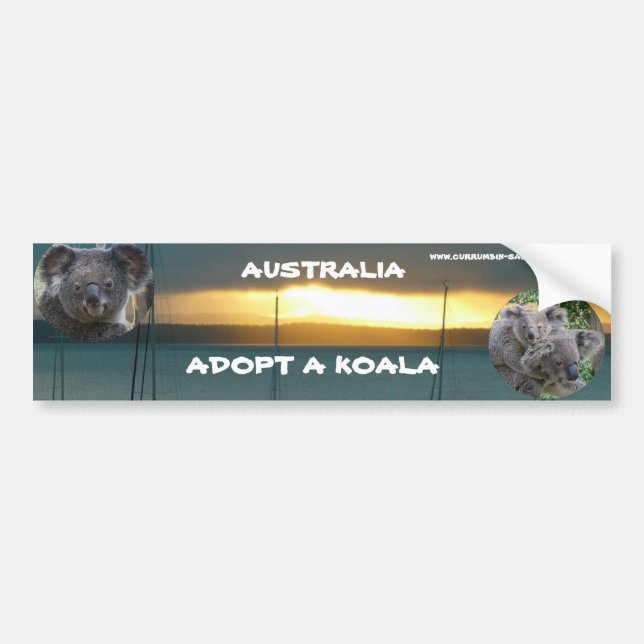 Adesivo Para Carro Bumper Sticker ADOPT A KOALA AUSTRÁLIA (Frente)